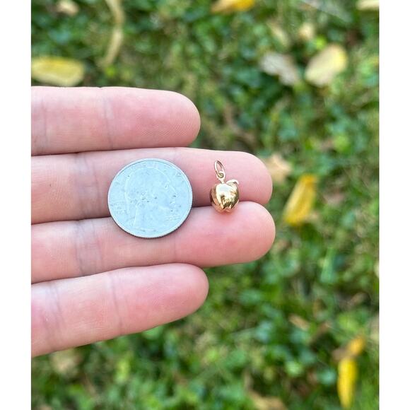 14K Gold Plated Necklace with Bronze Apple Charm - Picture 4 of 4